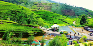 Tinggal di Kota Wisata Pegunungan